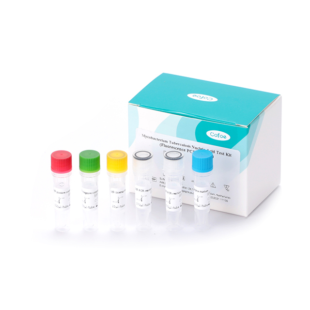 Mycobacterium tuberculosis Test Nucleic Acid Kit (Метод флуоресцентной ПЦР)