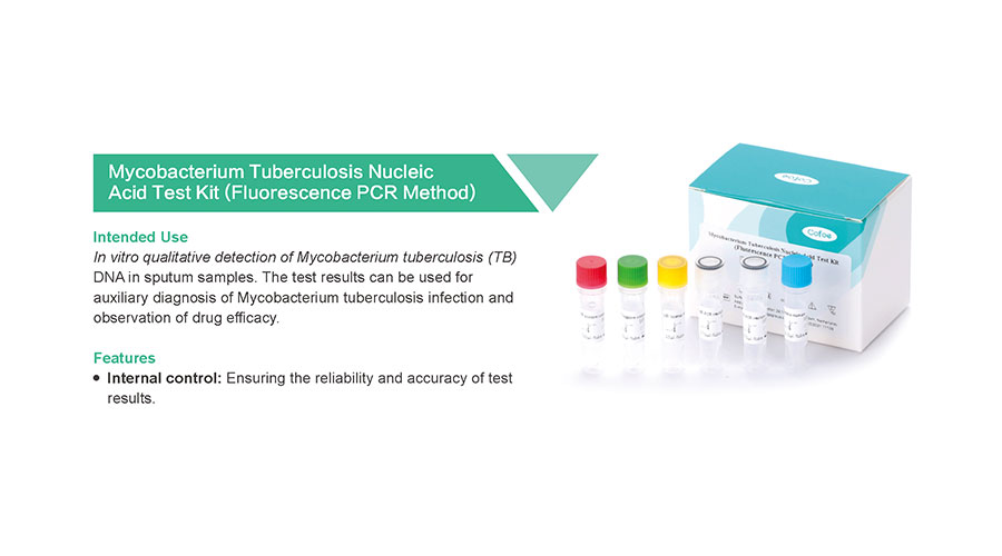 Mycobacterium tuberculosis 结核 分枝杆菌 分枝杆菌