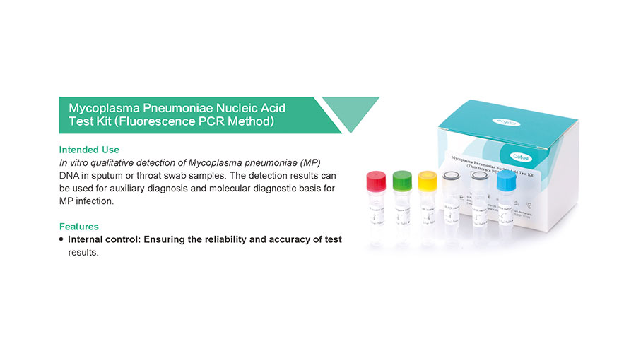 Mycoplasma pneumoniae 肺炎 支原体 支原体 支原体